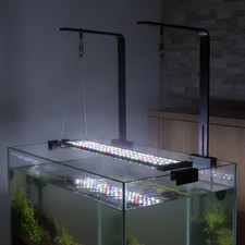 Supporto a L Acquario Lega di