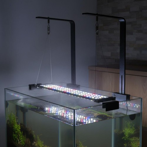 Supporto acquario lega - acquario,