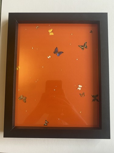 Damien hirst stampa - damien, non