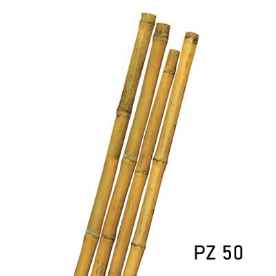 Tutore canna bambu bamboo - bambu,