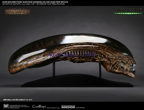Coolprops sideshow 1 alien - 1/1,