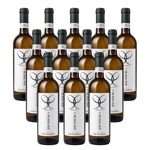 Vino bianco falanghina - vino,
