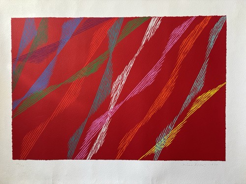 Serigrafia piero dorazio - serigrafia,