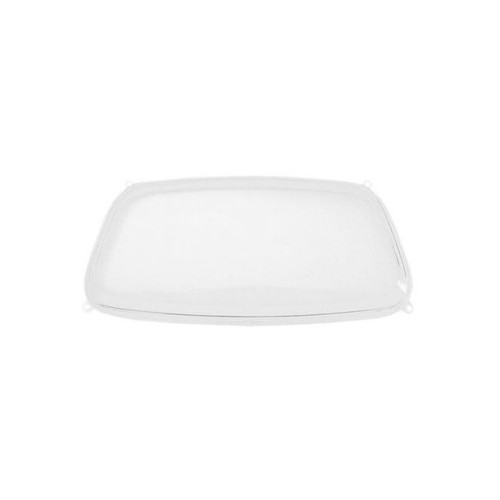 Plastica trasparente - plastica,