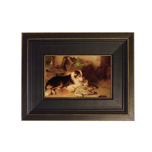 Agnello senza madre con - , cane