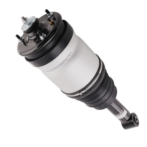 Arriere air suspension strut - suspension,
