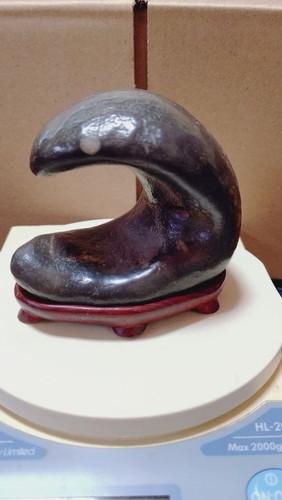 Bonsai suiseki bonseki - di,