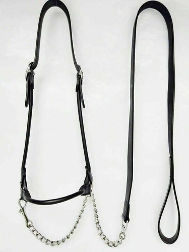 Show halter con bling - show,