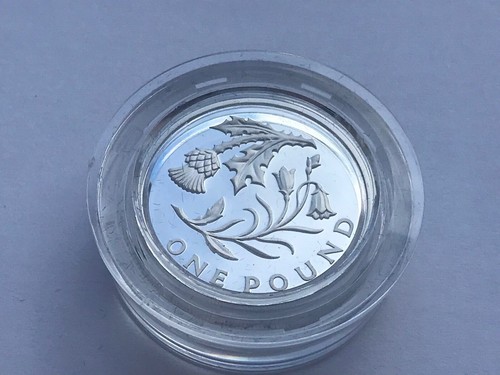 Pound moneta argento - 1,