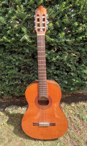 Chitarra vintage spagnola - chitarra,