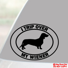 I TRIP OVER MY WIENER Vinyl