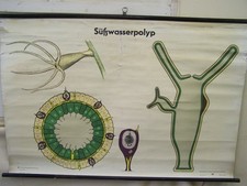 Vecchio Lavagna Didattica