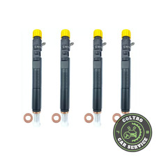 Iniettore DELPHI EJBR02101Z Renault Clio Megane Scenic Kangoo 1.5 DCI