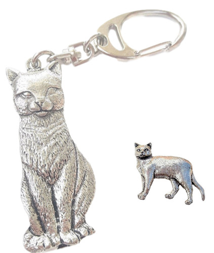 Burmese cat pin badge and - cat,