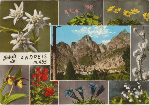 Saluti andreis 455 - andreis,