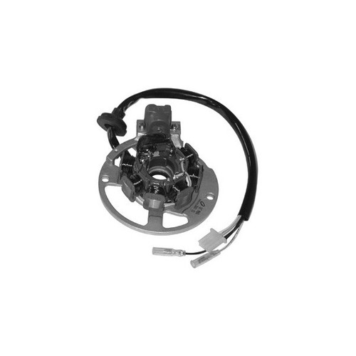 Statore motore - statore,