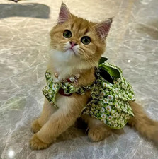 Gonna gatto floreale rosa
