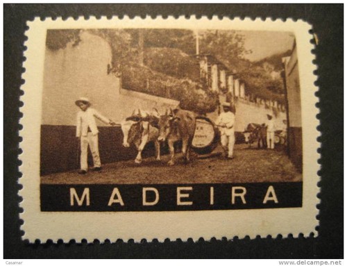 Madeira portugal toro tori - portugal,