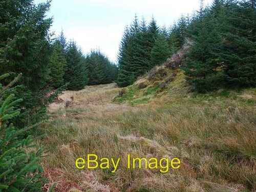 Photo 6x4 forest ride - photo,
