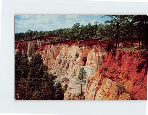 Cartolina georgia little - cartolina,