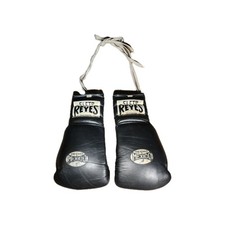 Guantoni da boxe professionali