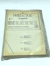 PIANI COSTRUTTIVI MODELLISMO
