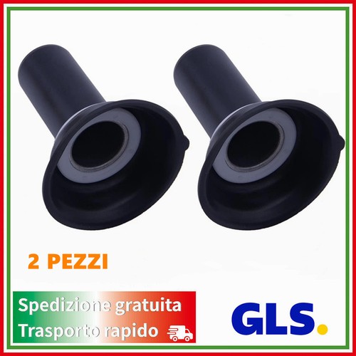 2pz membrana del - membrana,