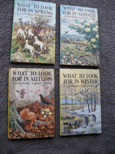 Ladybird books series - books,