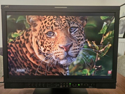 Jvc v24g1 monitor di - jvc,