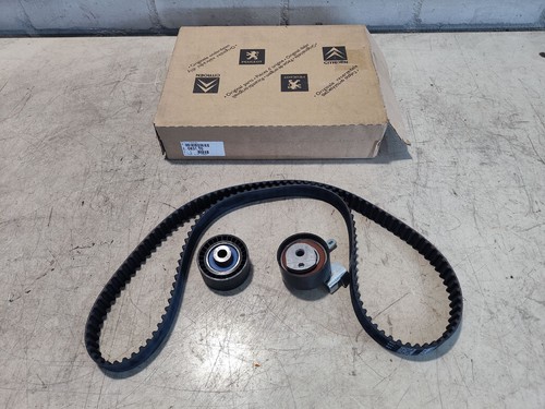 Kit cinghia distribuzione - cinghia,