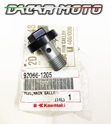 Tappo olio scarico 920661205 - tappo,