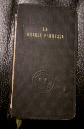 Grande promessa d arturo - promessa,