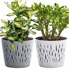 2 vasi da fiori con inserto