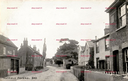 Hatfield peverel 540 - hatfield,
