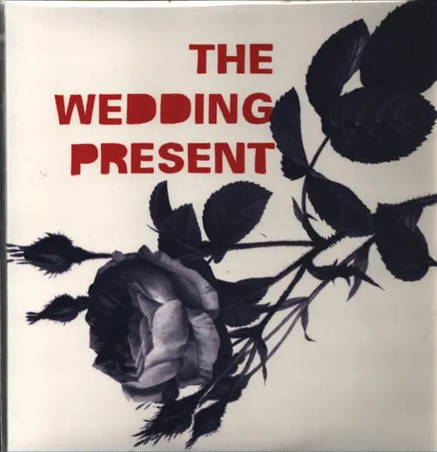 Wedding present tommy new - wedding,