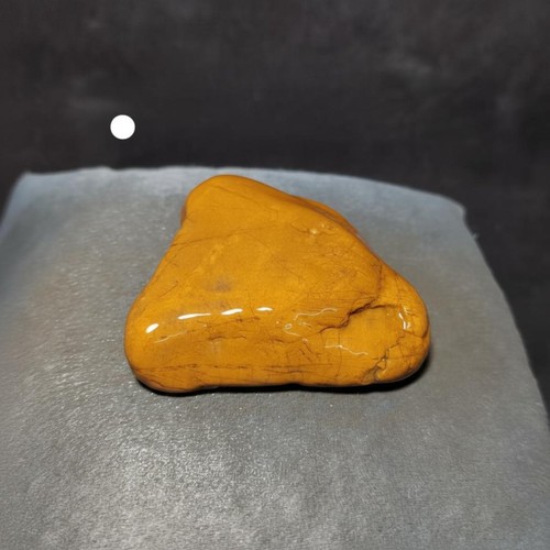 Pietra dorata per tartarughe