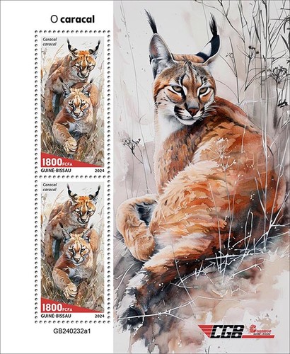 Caracal