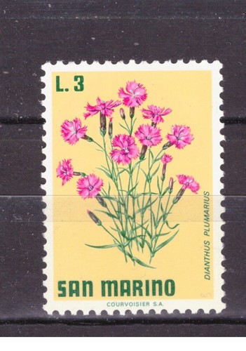 Francobolli san marino 1971 - san,