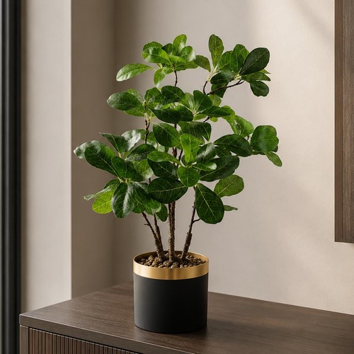 Bonsai ficus artificiale - bonsai, di
