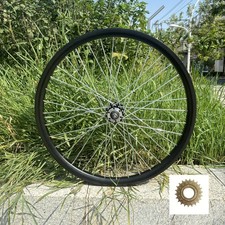 Cerchio posteriore bici in