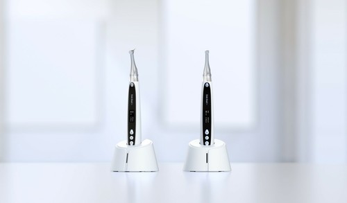 Promozione woodpecker endo - woodpecker,
