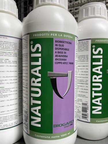 Naturalis 1 - naturalis, da