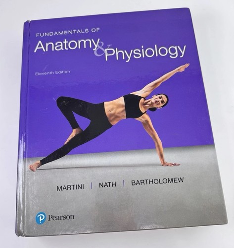 Fundamentals anatomy - fundamentals, &