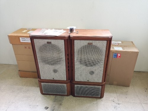 Coppia altoparlanti tannoy - coppia,