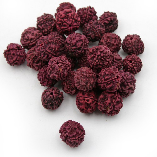 Perle rudraksha rosse 30 - rudraksha, 20