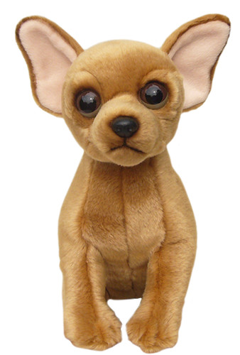 Cappotto corto chihuahua - 12",