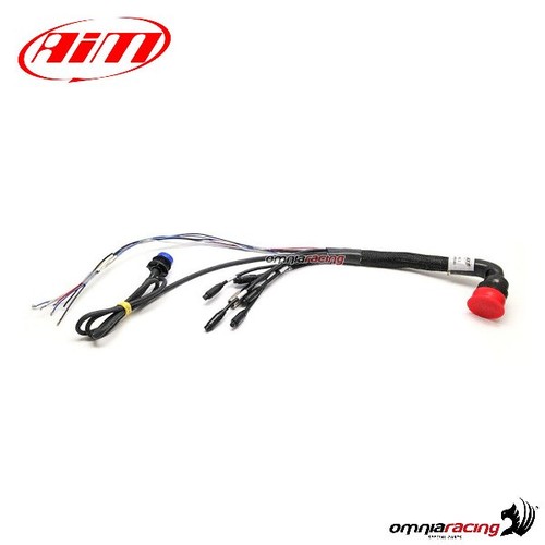 Cablaggio standard pin aim - cablaggio,