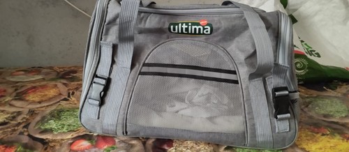 Trasportino ultima per gatto - trasportino,