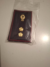 POLIZIA P.S. GRADI TUBOLARI NUOVI ISPETTORE