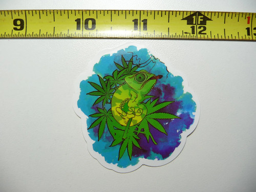 Marijuana camaleonte lucertola - marijuana,